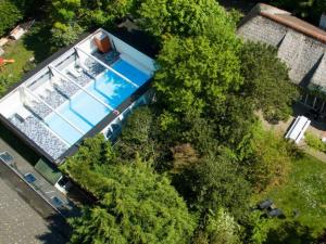 - une vue sur la piscine et les arbres dans l'établissement Charming thatched beach villa with garden, à Biggekerke