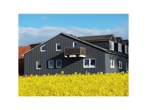 a black building with a balcony in a field of yellow flowers at Apartment in Rieseby in Rieseby