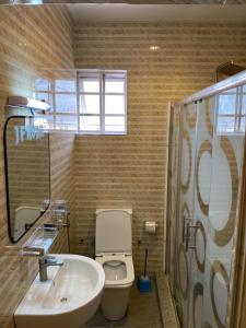 a bathroom with a white toilet and a sink at JF Royal Hotel & Suites in Ogbomoso