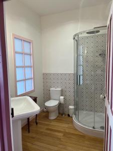 a bathroom with a shower and a toilet and a sink at Castel Saint Laurent in Langeais