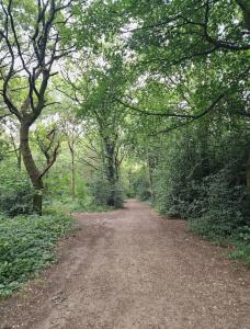 a dirt road in the middle of a forest at Luxury 1BR, 2 min Putney Train St, 5 min to Tube in London