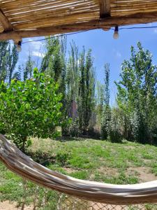 Κήπος έξω από το Container House