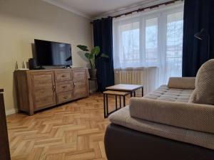 a living room with a couch and a flat screen tv at Apartament na Błoniach in Sanok