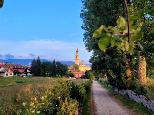 a path in a field with a church in the background at Casa Cuba Asiago in Asiago