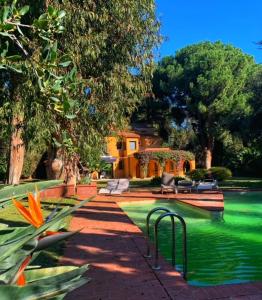 聖安德烈斯德利亞瓦內拉斯的住宿－The Blue Eucalyptus，花园设有游泳池、椅子和树木