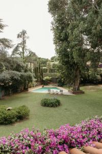 聖安德烈斯德利亞瓦內拉斯的住宿－The Blue Eucalyptus，一个带游泳池和粉红色鲜花的花园