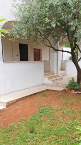 a building with a tree in front of it at Apartments Cintya in Poreč