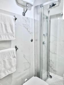 e bagno con doccia, servizi igienici e asciugamani. di Domus Euclide a Roma