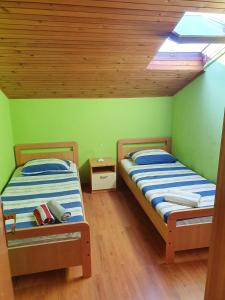 2 camas en una habitación con paredes verdes y tragaluz en Apartments Cintya, en Poreč