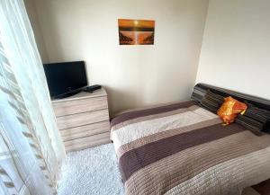 TV a/nebo společenská místnost v ubytování Club218 Holiday Apartman Siófok