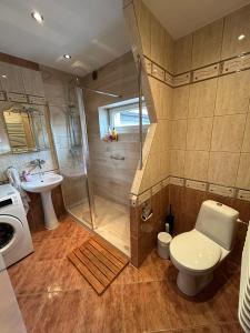 een badkamer met een douche, een toilet en een wastafel bij ARTHOME in Wrocław