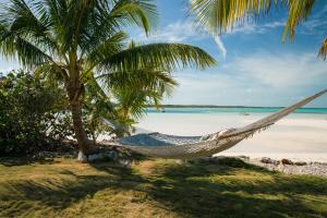 a hammock on a beach with palm trees and the ocean at Villa Blue Hole in Mangrove Cay