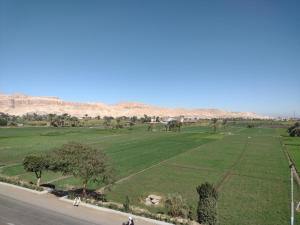 een grasveld naast een weg bij Asmara House in Al Karnak