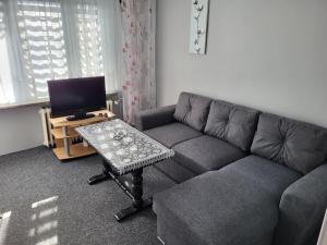 Apartament Sosnowy z parkingiem في تورون: غرفة معيشة مع أريكة وتلفزيون