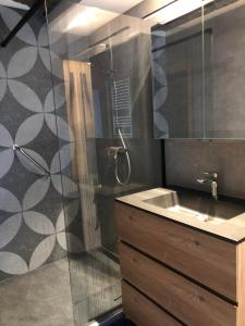 La salle de bains est pourvue d'une douche et d'un lavabo. dans l'établissement Chez Raoul - Ancienne Grange, à Pont-à-Celles