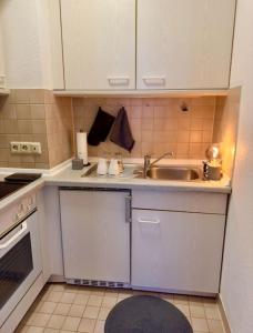 a small kitchen with a sink and a stove at Südstadtoase • Tübingen &freeParking in Tübingen