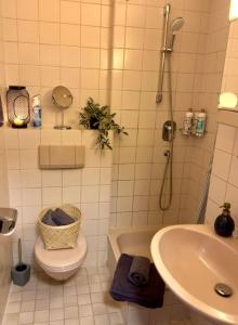 La salle de bains est pourvue de toilettes et d'un lavabo. dans l'établissement Südstadtoase • Tübingen &freeParking, à Tübingen