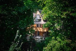 a house in the middle of a forest of trees at Olive Tree Forest Cabin Original in Kismaros