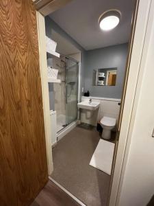 W łazience znajduje się toaleta i przeszklony prysznic. w obiekcie Riverside one bedroom flat w mieście Bridge of Allan