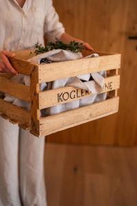 Fotografie z fotogalerie ubytování Winzer Appartements Kogler v destinaci Leutschach