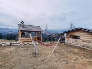 una cabaña de madera con un tobogán delante de ella en Cabana doi mesteceni, en Drumu Carului