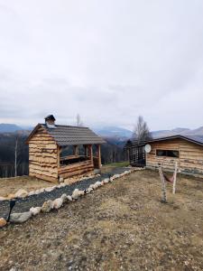 a log cabin with a view of the mountains at Cabana doi mesteceni in Drumu Carului