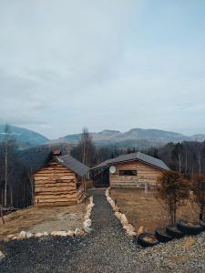 una cabaña de madera con montañas al fondo en Cabana doi mesteceni en Drumu Carului