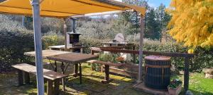 einen Picknicktisch unter einem Zelt mit einem Grill in der Unterkunft La casa di Eva in Castel Viscardo