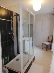 a bathroom with a shower and a sink at Les INSOLITES DE LA TOUCHE in Azay-le-Rideau