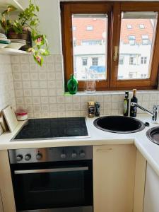 a kitchen with a stove and a sink at Zentrales, sonniges Appartement im Herzen von Graz in Graz