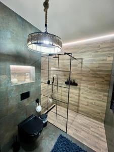 a bathroom with a shower with a toilet and a chandelier at Silesia Apartments B129 in Ustroń