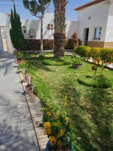 a garden with plants and flowers in a yard at ARABESK in Nouakchott