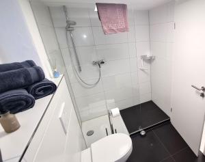 a white bathroom with a shower and a toilet at Wohnung am HELLER in Nürtingen
