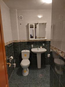 La salle de bains est pourvue de toilettes et d'un lavabo. dans l'établissement Jana apartments 2, à Tivat