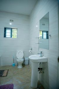 a bathroom with a toilet and a sink and a mirror at Kamps Apartment - Foxdale Forest in Lusaka