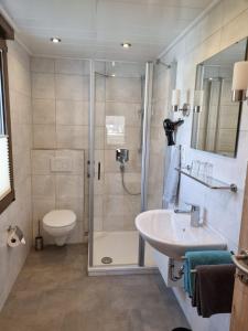 a bathroom with a shower and a sink and a toilet at Ferienhaus Winzerauszeit in Ellenz-Poltersdorf +23 photos