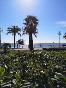 a park with palm trees in front of the beach at Garden Atlantide Promenade in Nice