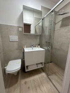 y baño con lavabo, ducha y aseo. en Covaciu aparthotel, en Cluj-Napoca