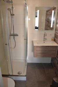 een badkamer met een douche en een wastafel bij B&B Onder de Molen in Burgh Haamstede