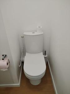baño con aseo blanco en una habitación en Vierzon Centre - joli T2- balnéo- wifi, en Vierzon