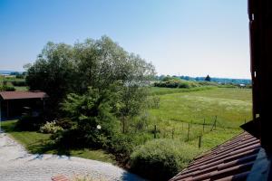 vistas a un campo con un árbol y una casa en Minipivovar Kněžínek, en České Budějovice