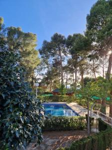 una piscina en medio de un jardín en Casa de madera en urbanización con gran piscina entre pinos, en Liria