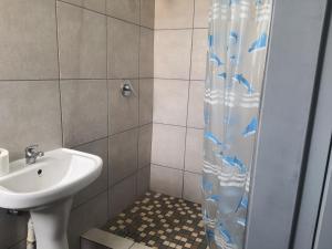 a bathroom with a sink and a shower curtain at De Bliss Lodge in Johannesburg