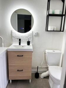 a bathroom with a sink and a toilet and a mirror at Le gargantua, appartement à 500m du château in Chinon