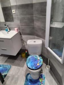 baño con aseo y asiento de pecera en Adorable appartement, en Pézenas