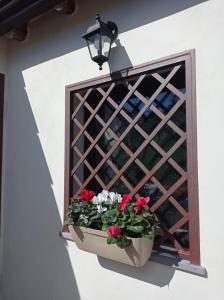 uma janela com um vaso de flores e um candeeiro em Ai tre desideri la casita em Aci Castello