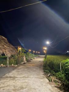 eine Straße in der Nacht mit Lichtern auf einem Feld in der Unterkunft Homestay Chinh Bi in Yên Bái