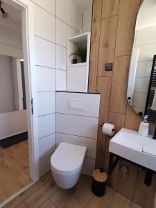 a white bathroom with a toilet and a sink at Studio apartman Daruvar in Daruvar