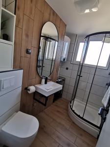 a bathroom with a toilet and a sink and a mirror at Studio apartman Daruvar in Daruvar