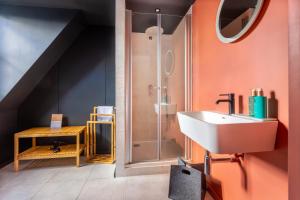 a bathroom with a shower and a white sink at Au Chat Qui Dort Lille - Magasin in Lille